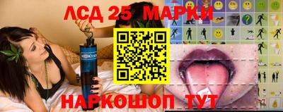 винт Донской